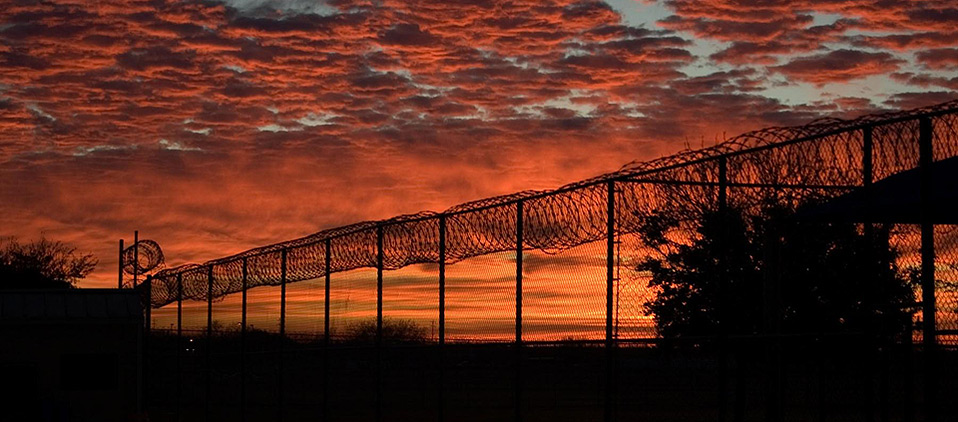 Barbed Wire Fence Against a Beautiful Sunset