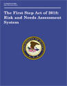 Risk and Needs Assessment System Publication Cover