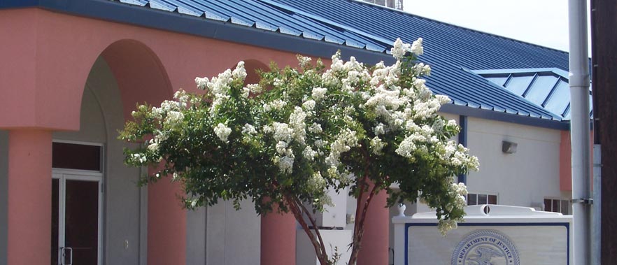 Women's Relationships